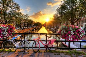 Beautiful sunrise over Amsterdam, The Netherlands, with flowers