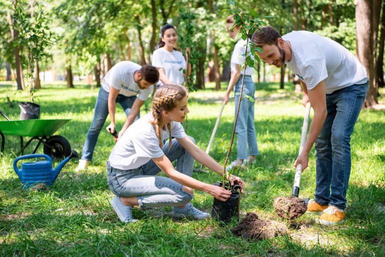 Read more about the article Green Team Building Activities to Boost Environmental Awareness
