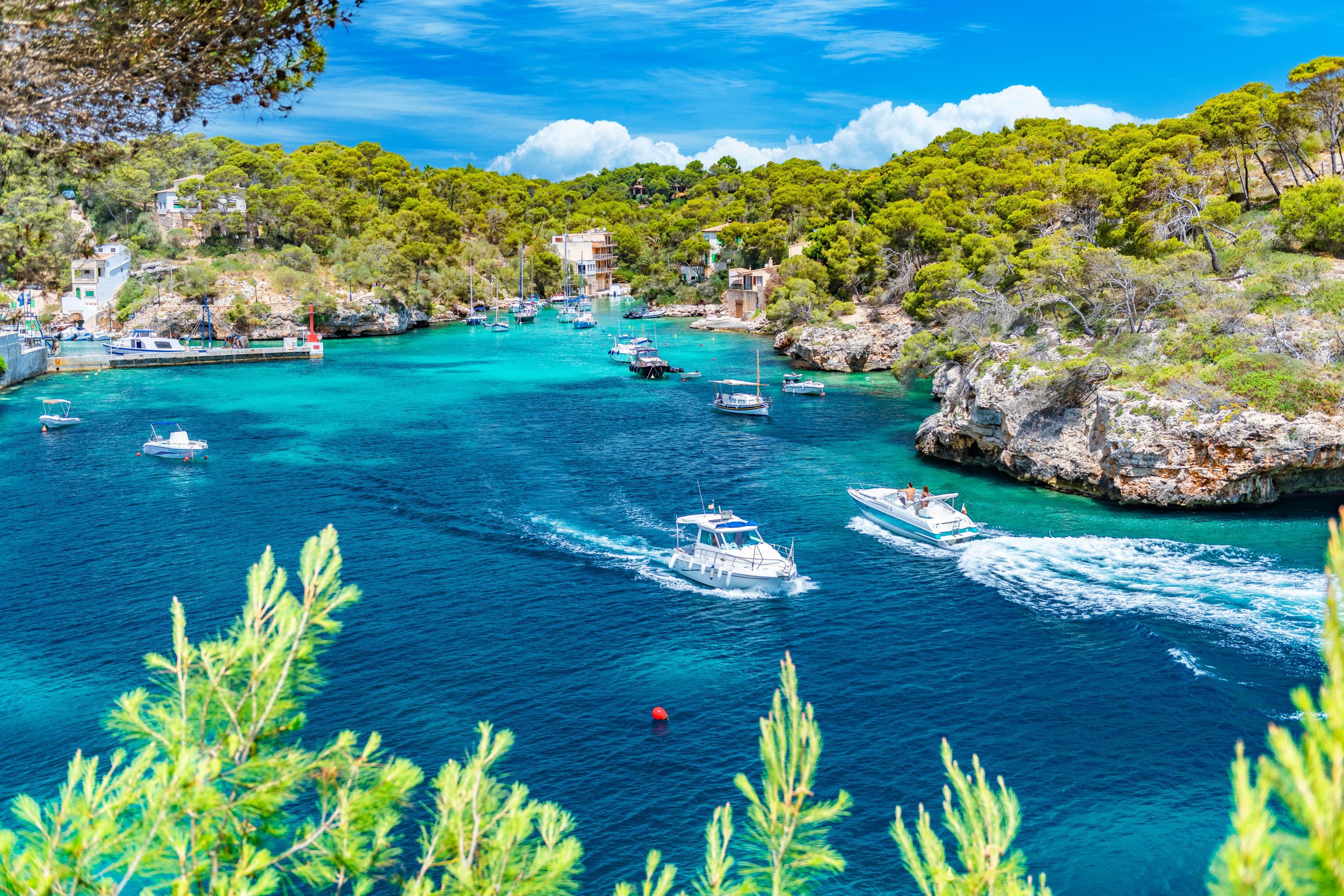 Catamaran day trip with your team in Mallorca.