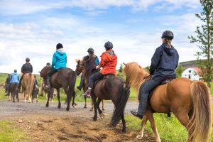 Horseback riding group tour Island horses.