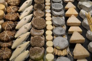 Different types of cheese at cheese museum in France