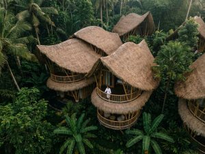 Thatched-roof elevated eco lodges surrounded by dense tropical greenery